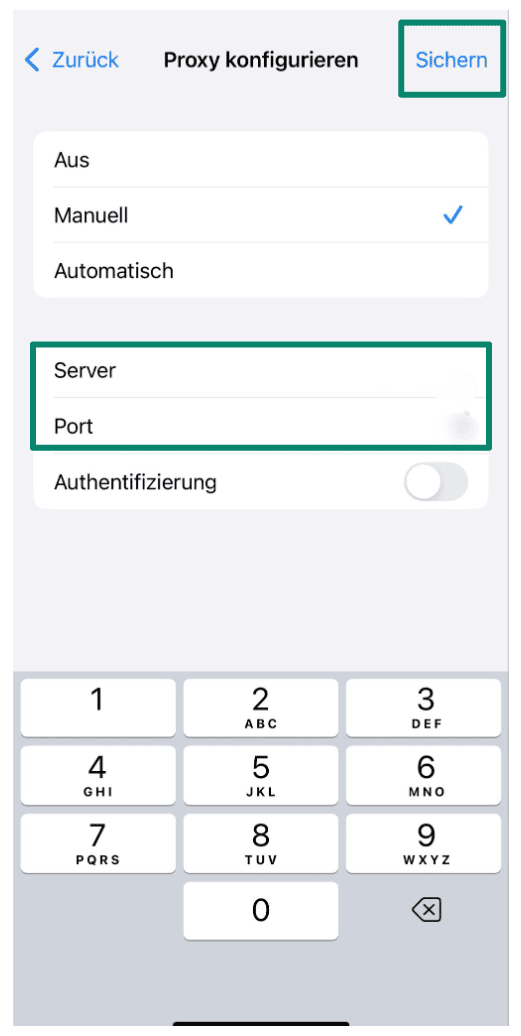 Ip Address.11 Scaled De