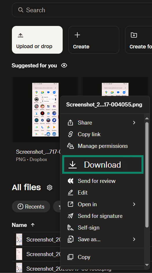 Downloading a file locally from Dropbox.
