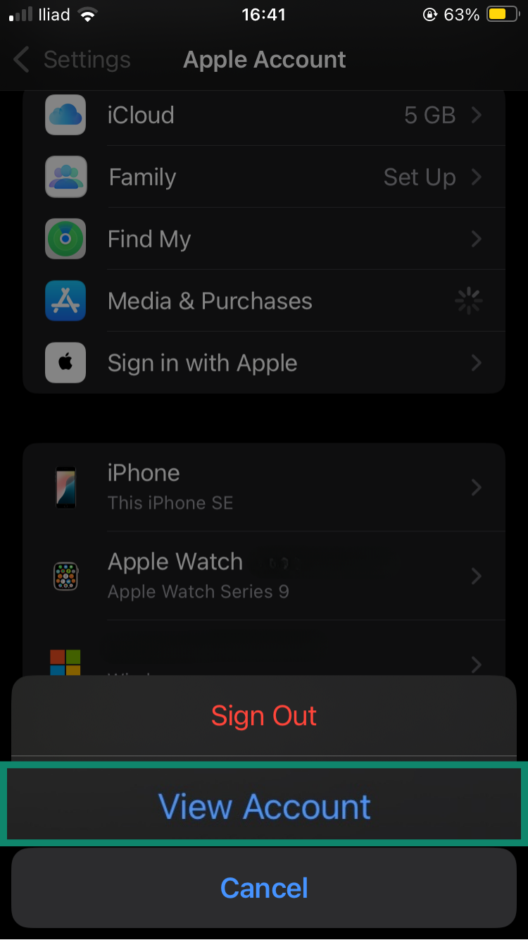 Apple Account menu, showing the View Account option highlighted.