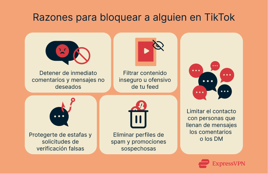 Visual showing the top reasons to block someone on TikTok.