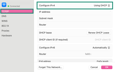 Configure IPv4 set to Using DHCP on macOS.