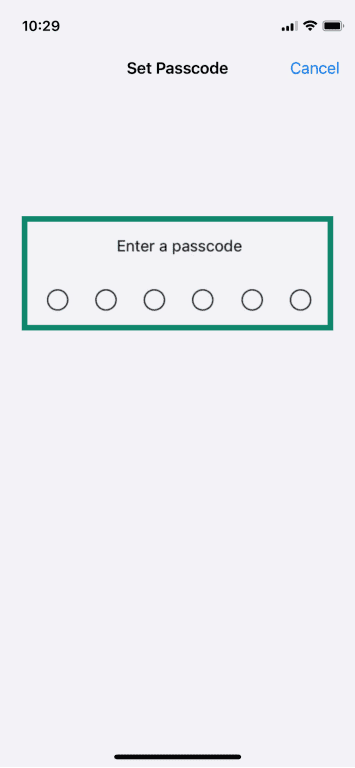 The Set Passcode window, with no passcode entered.
