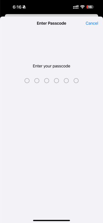 iPhone prompt asking the user to enter their device passcode.