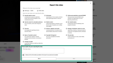 Adding additional info when reporting a video on Dailymotion.