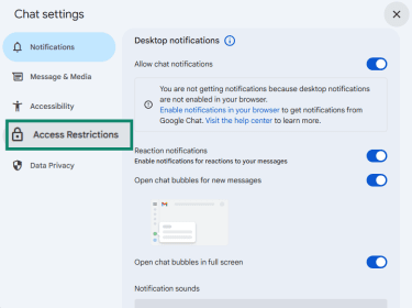 Alt text: Within the Chat settings window, the Access Restrictions option is highlighted.