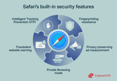 Safari's built-in browser-level security features.