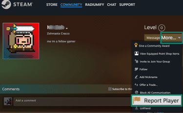 How to report a profile on Steam.