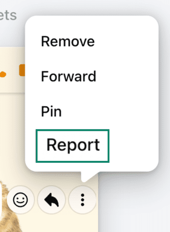 Reporting a message on Facebook.