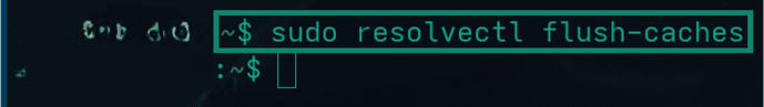 Flushing DNS Cache from terminal on Linux.