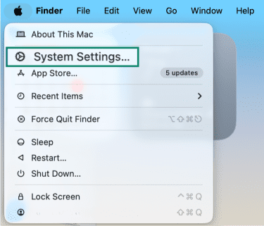 Choose System Settings on clicking Mac from the home screen.