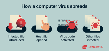 How a virus activates through an infected file and spreads to other programs.
