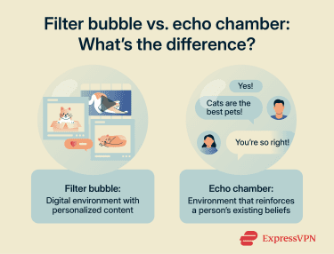 Filter bubble vs. echo chamber: What’s the difference?